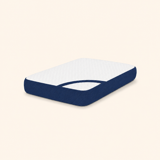 Queen Size Memory Foam Cervical Pillow with Belt – Blue (20x12x3.5 Inches)