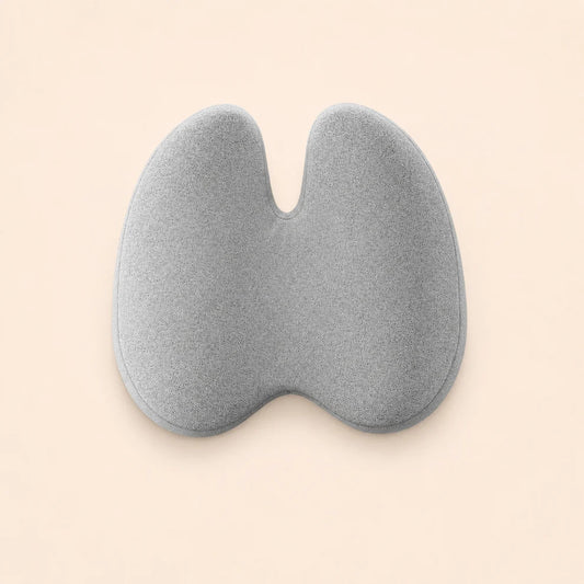 2-Piece Office Comfort Back Support Combo
