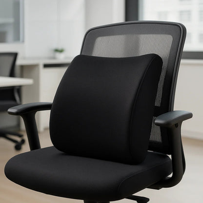 2-Piece Office Comfort  Back Support  Combo